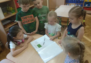 09. Dzieci oglądają zielnik.